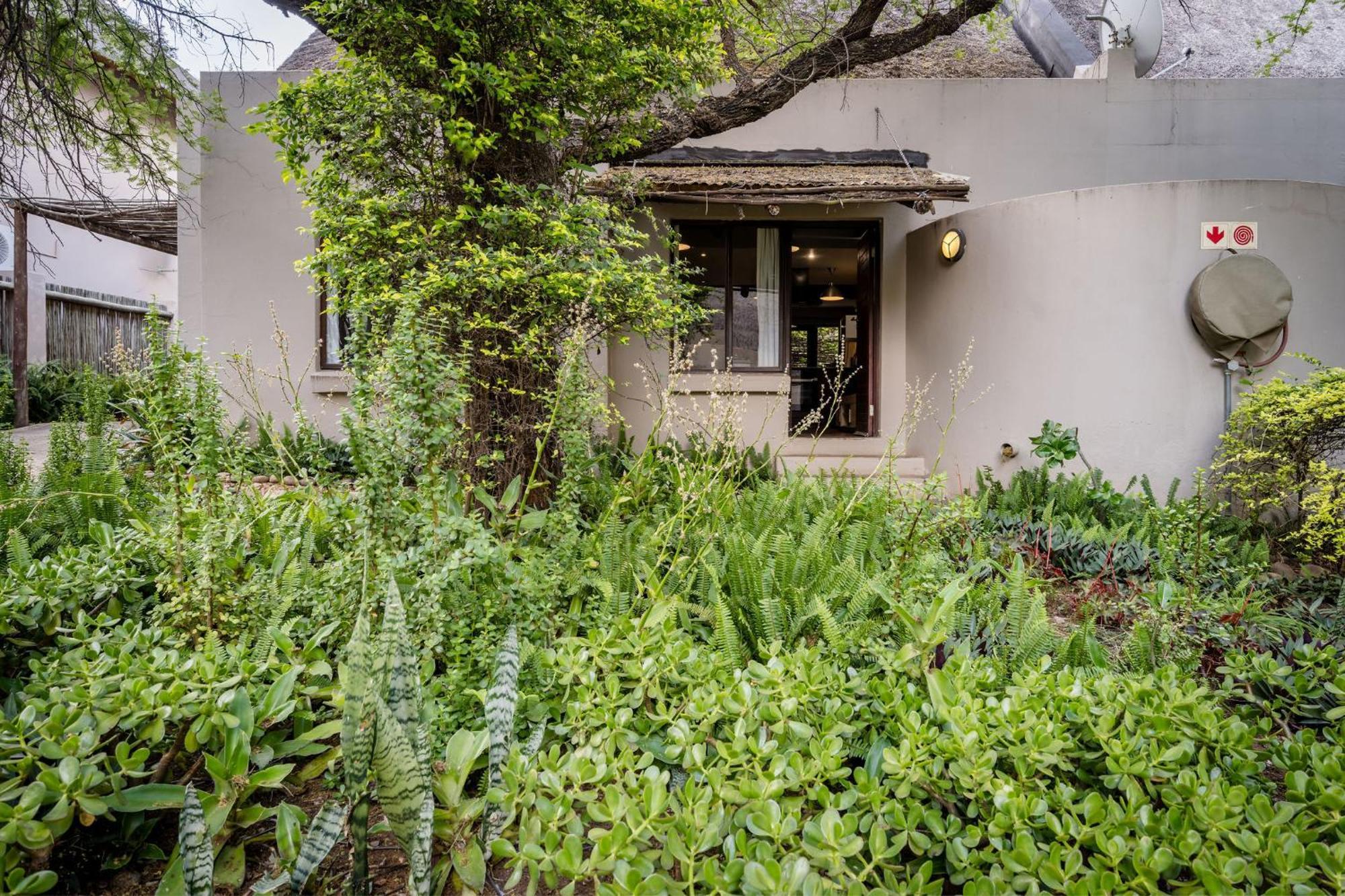 Raptors Wildlife Escapes Hoedspruit Extérieur photo